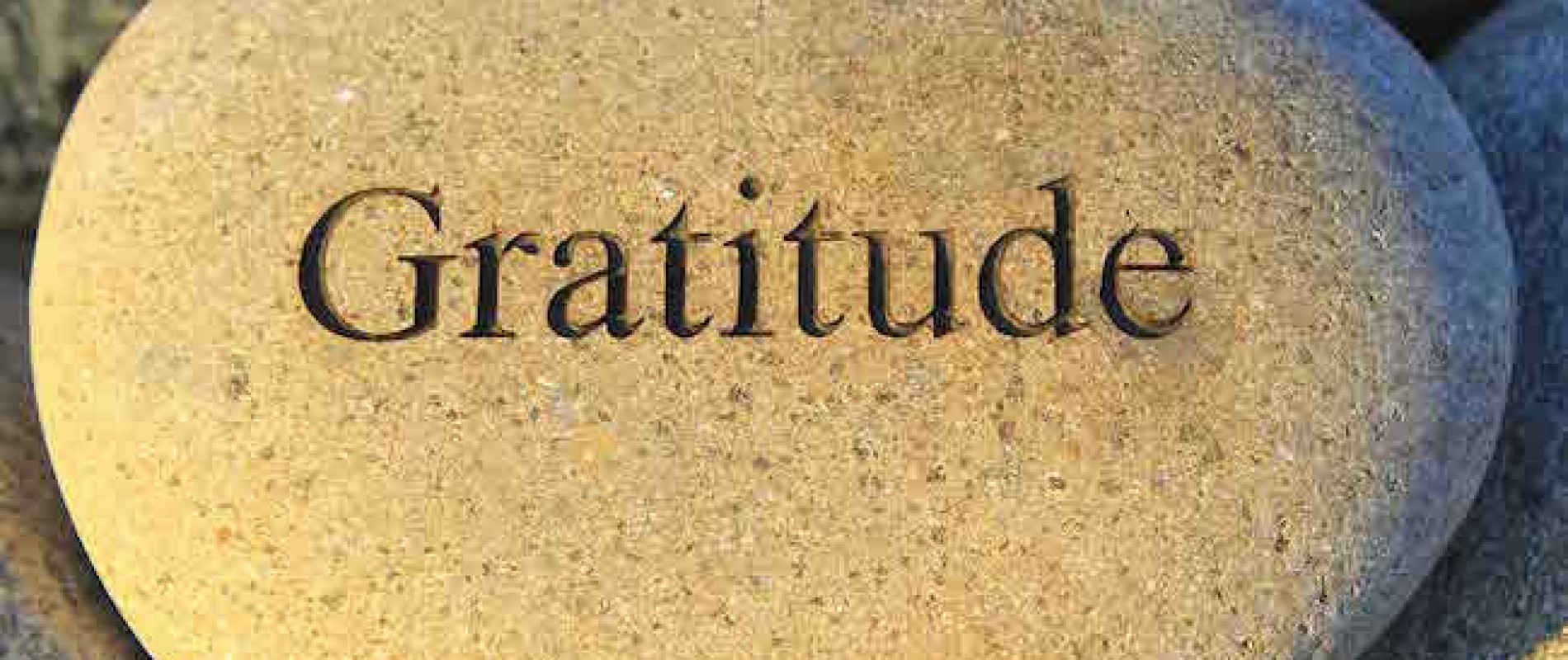 Gratitude-1900x800.jpg