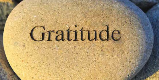 Gratitude-556x281.jpg